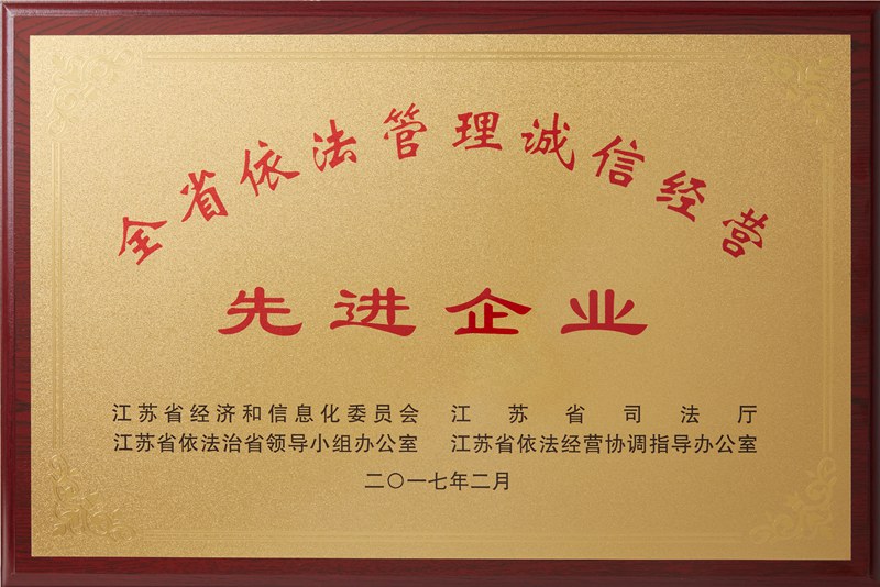 全省依法管理诚信经营先进企业（2017）